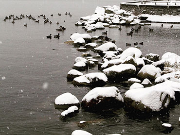 Snowy Seawall