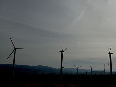 Windmills of Coachella Valley